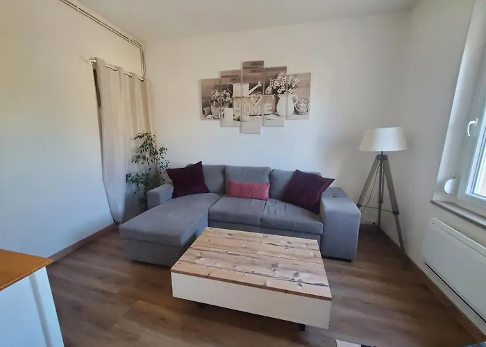 Appartement Lumineux En Centre-Ville
